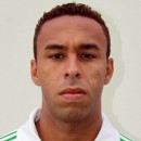 Pinto WELLINGTON