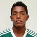 Pereira INDIO