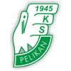 Pelikan Lowicz