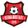 FC Hermannstadt