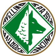 US Salernitana 1919 - Wikipedia