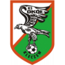 Sokol Kleczew