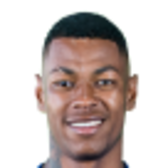 Henrique RODRIGUES