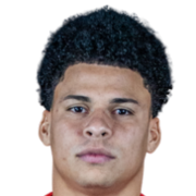Emerson URSO