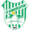 12 Bingolspor
